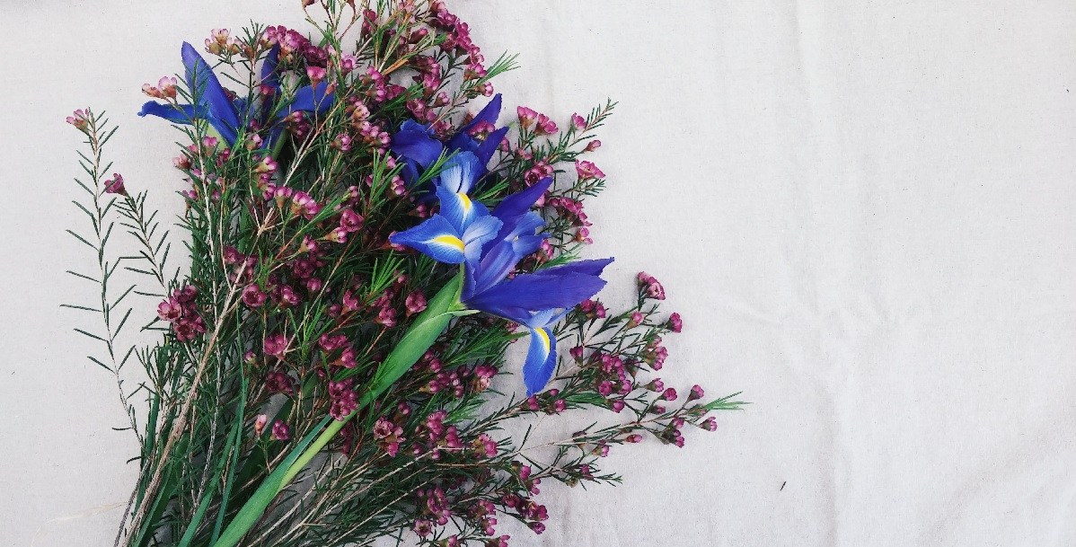 fleurs