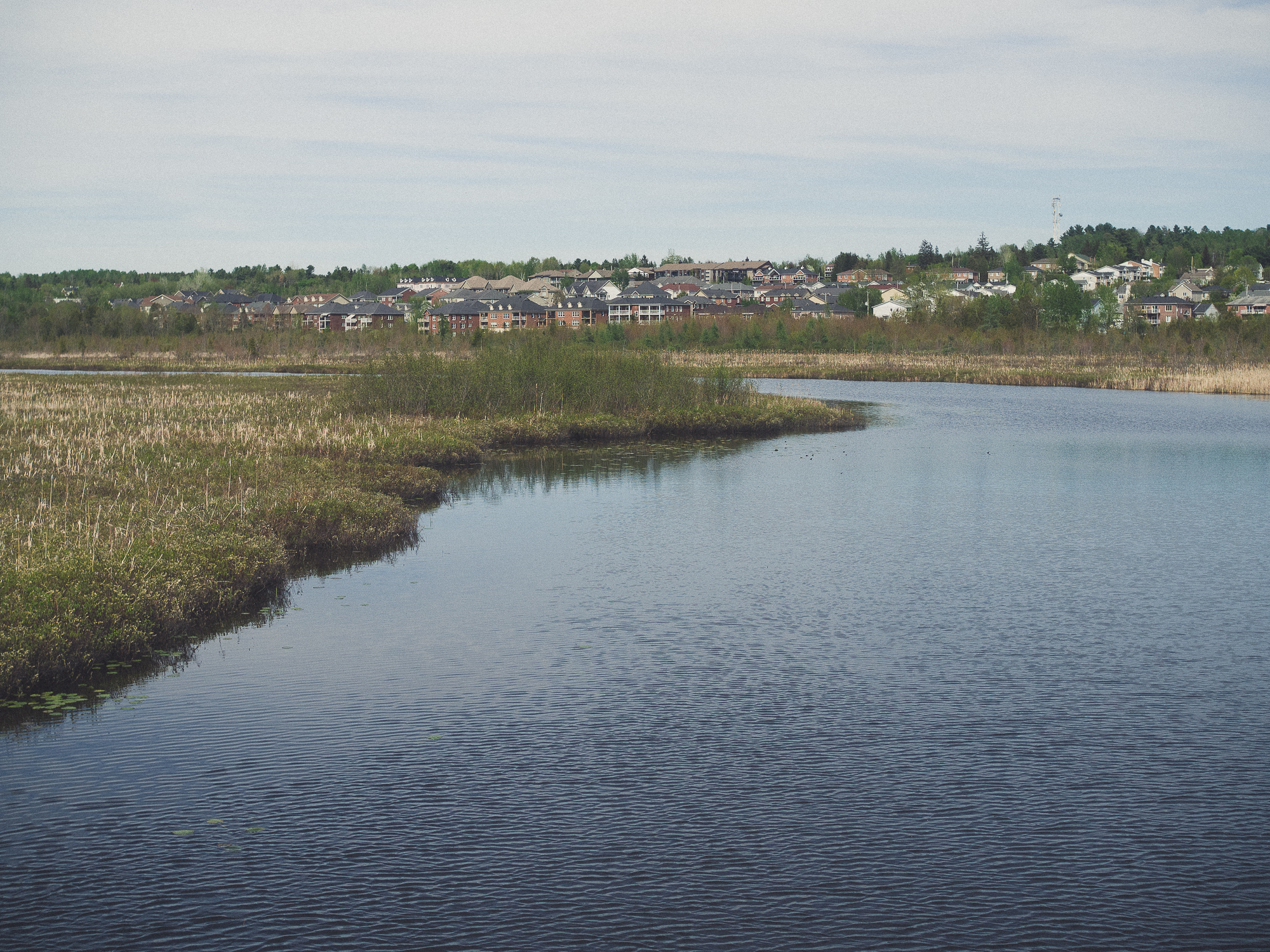 le marais de la rivière aux cerises