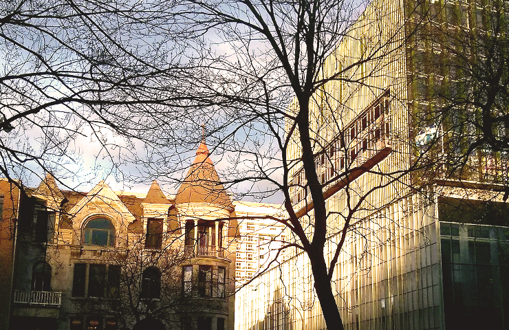 carré saint louis_montreal_1