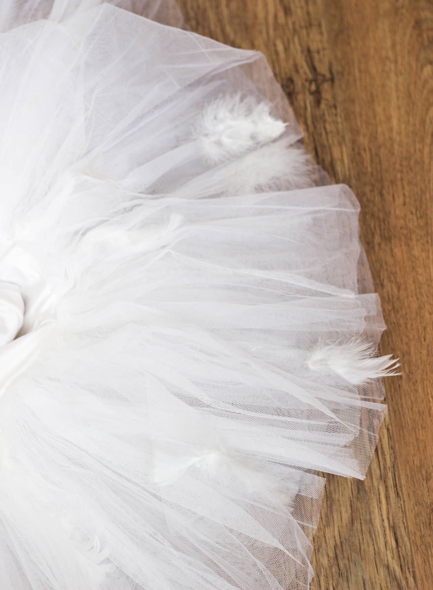 tutu_lac-des-cygnes_2