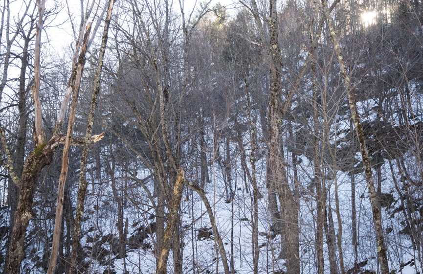 quebec_mont-orford-2