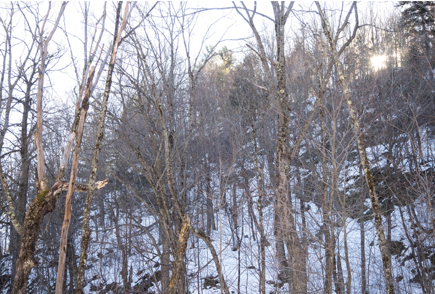 mont orford-cantons de l'est-estrie
