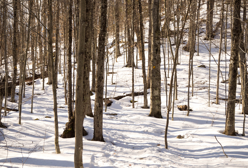 mont orford-cantons de l'est-estrie