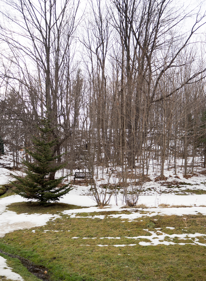 mont orford-cantons de l'est-estrie