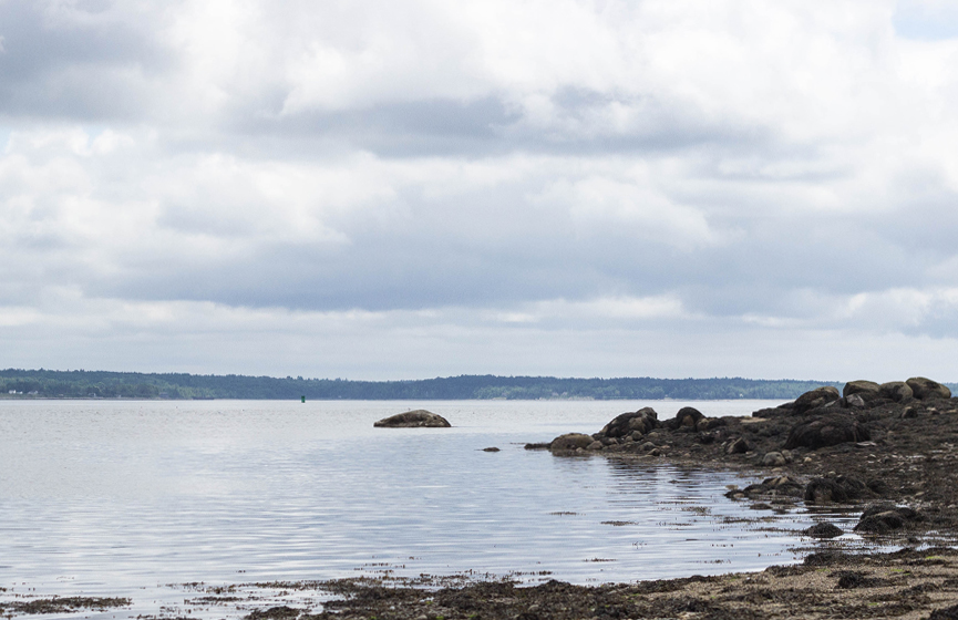 bar-harbor_1